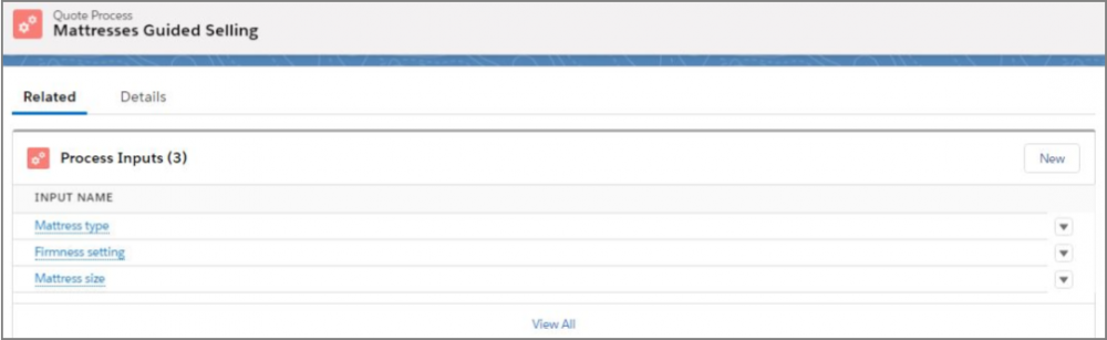Salesfroce CPQ Quote Process Inputs